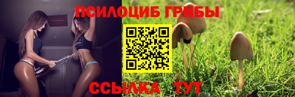 Псилоцибиновые грибы прущие грибы  Вход с VPN  Аша  Псилоцибиновые грибы MAGIC MUSHROOMS 